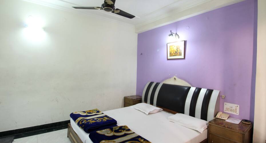 Hotel Sunshine Palace, New Delhi 5